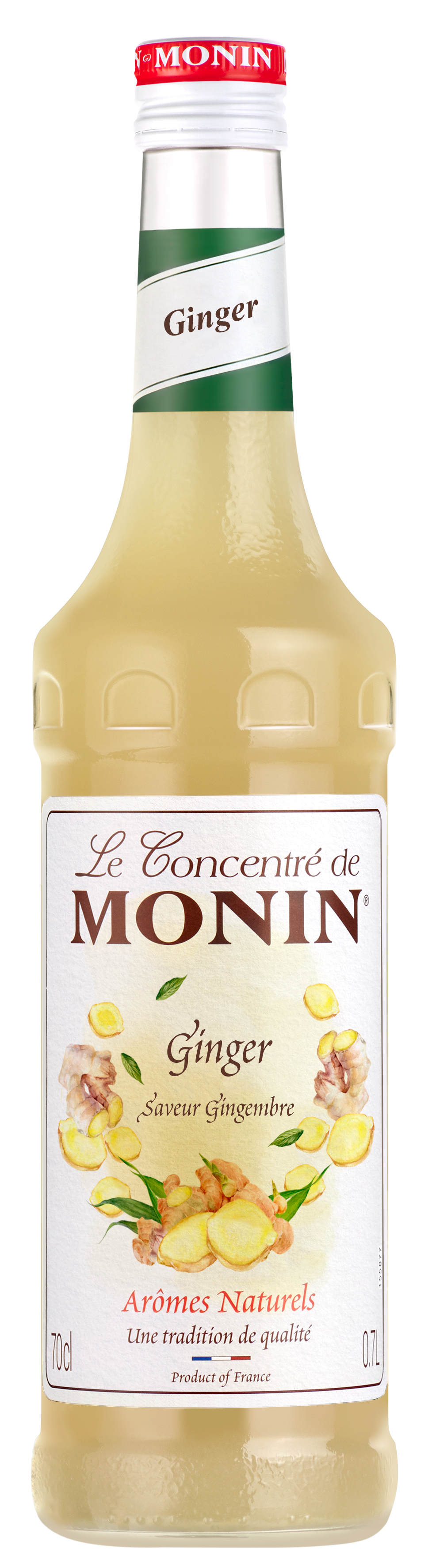 MONIN Ginger Concentrate