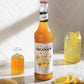 MONIN Ginger Concentrate